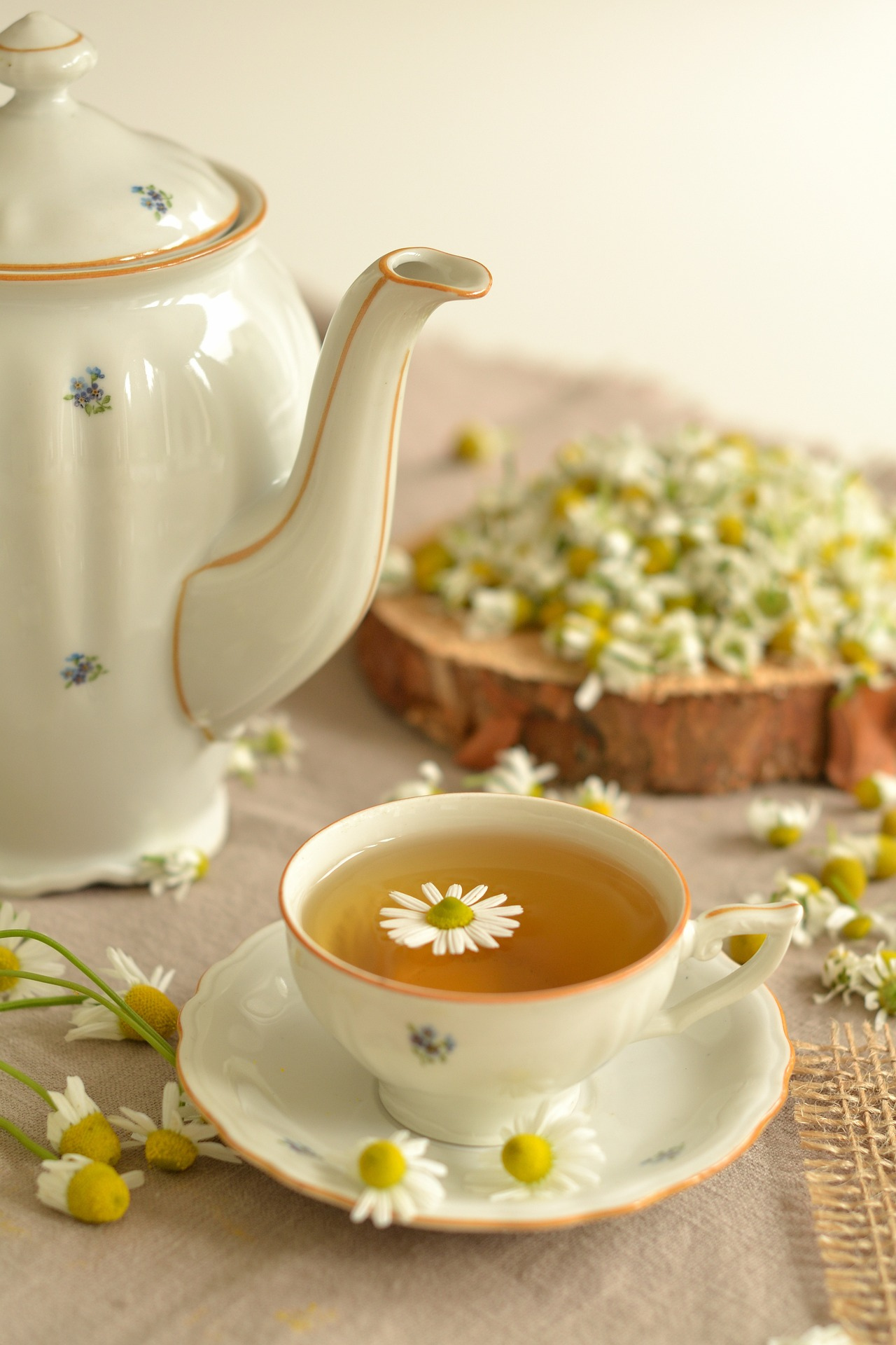 About Chamomile Tea (+ How to Make It)